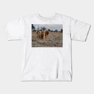 Cows in a farm field Kids T-Shirt